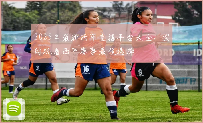 2025年最新西甲直播平台大全，实时观看西甲赛事最佳选择