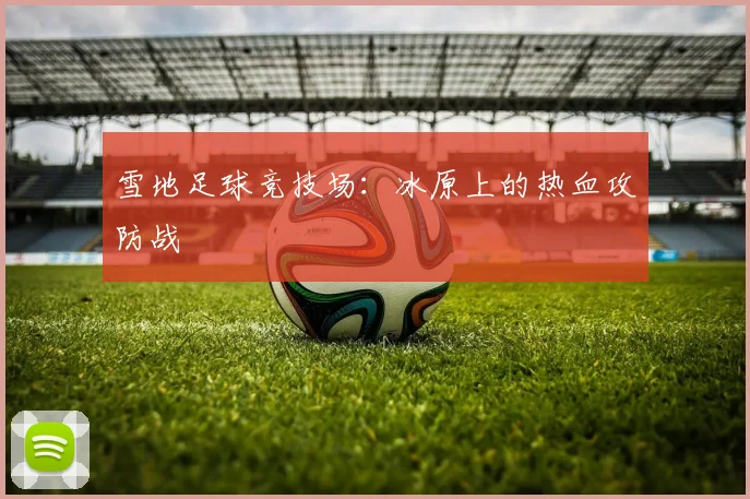 雪地足球竞技场：冰原上的热血攻防战