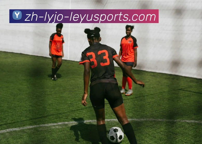 乐鱼体育品牌故事