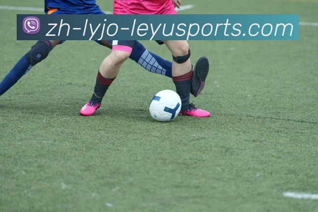 乐鱼体育服务体系